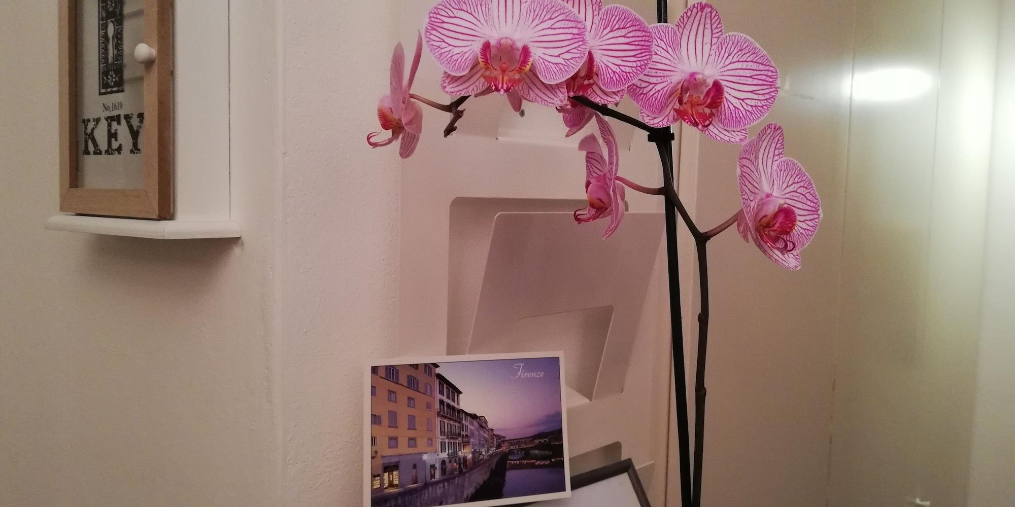 Albergo Duilio Florence Extérieur photo